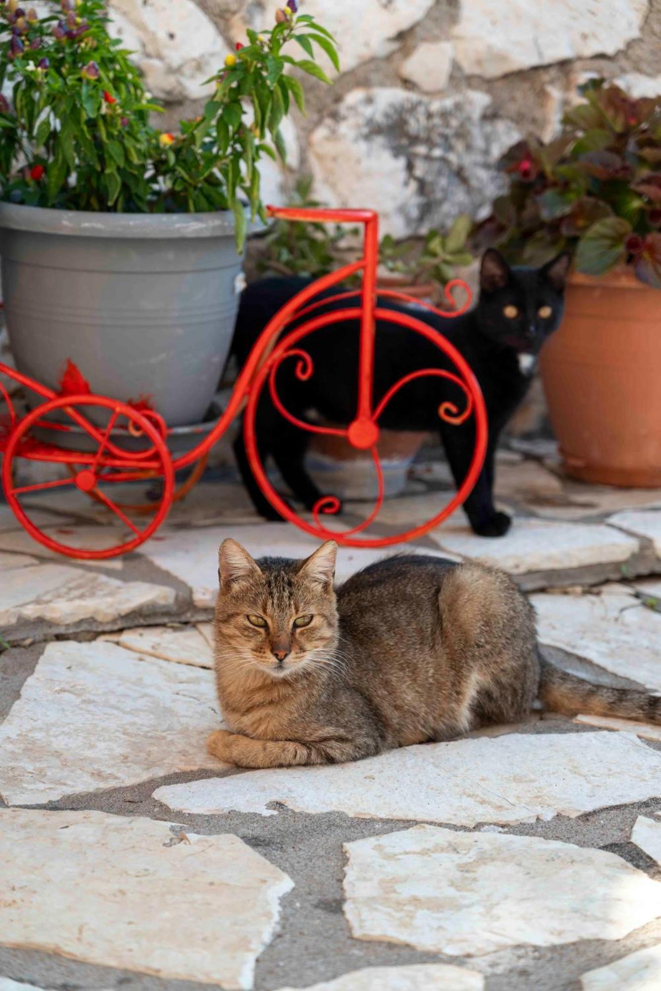San Lazzaro Nydri (Lefkada) Exterior foto